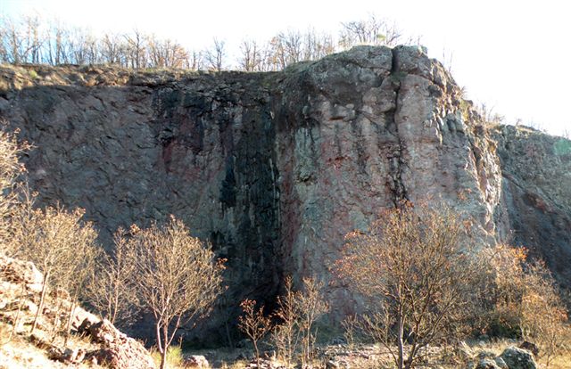 Muschi identificati con Dryades?